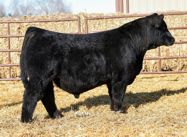 tagF27_RKK_6920_grande.jpg?v=